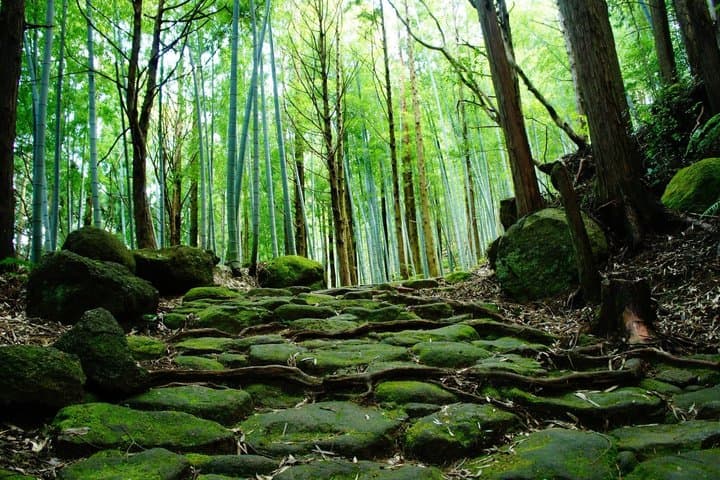 History Learning: 2D1N Kumano Kodo Iseji Tour with Local Guide — photo 5