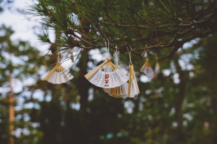 Exclusive Kyoto and Ine Funaya Seaside Experience — photo 4