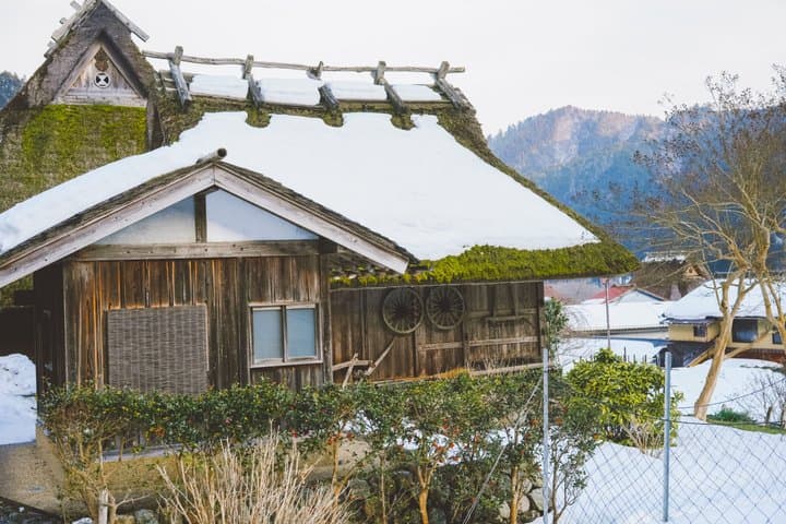 Exclusive Kyoto and Ine Funaya Seaside Experience — photo 15