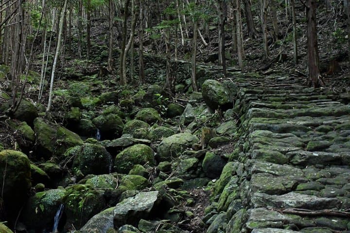 Intensive Trekking: 2D1N Kumano Kodo Iseji Tour with Local Guide — photo 2