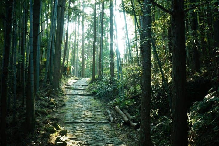 Intensive Trekking: 2D1N Kumano Kodo Iseji Tour with Local Guide — photo 3