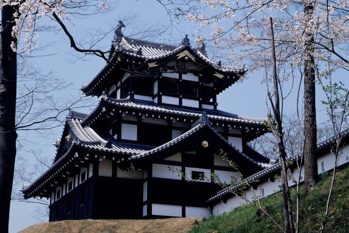 Cultural Journey Through Japanese History and Cuisine — photo 9