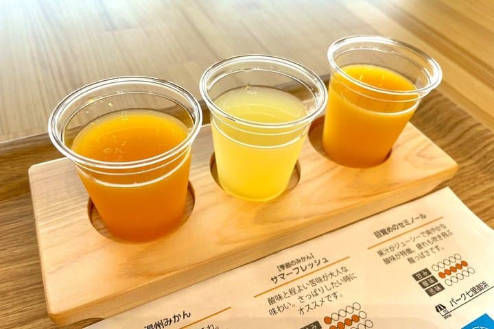 Culinary Delights: 2D1N Kumano Kodo Iseji Tour with Local Guide — photo 10