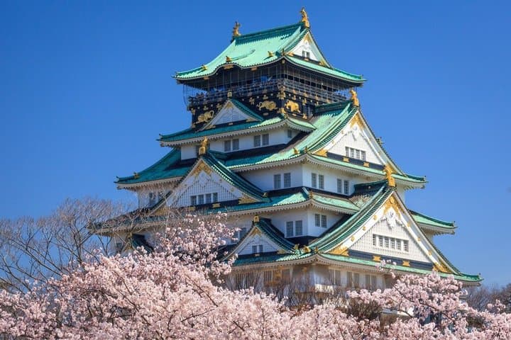 Osaka to/from Kyoto/Universal Studios/Station/ Private Transfer — photo 8