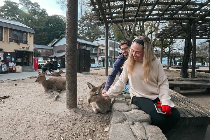 Hiroshima Walking Tour: Explore Top Sights & Hidden Gems — photo 2