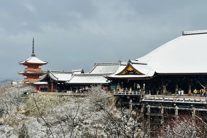 Kyoto Private Customizable Day Trip With English chauffeur — photo 7
