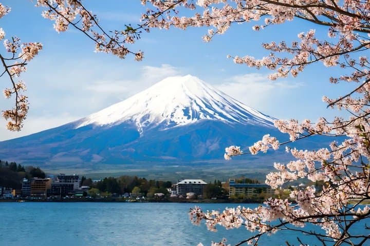 From Tokyo : Mount Fuji Private Tour With English Guide — photo 2
