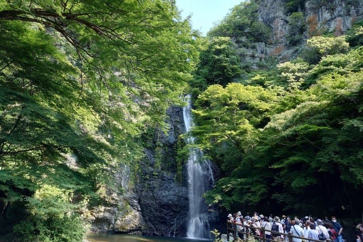 Experience Osaka Minoh Falls ,Uji, Katsuoji, Sakura Bus Tour — photo 20