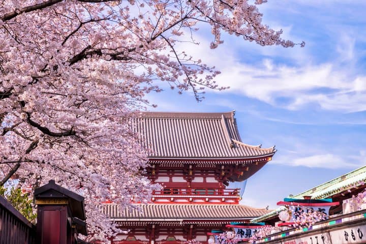 Private tour of ancient Tokyo: Asakusa, Ueno with local guide — photo 8