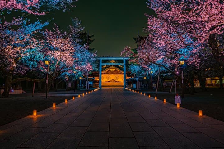 Tokyo Cherry Blossom Night Tour – Private Yozakura Experience — photo 7