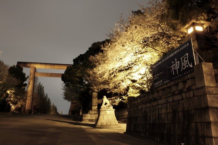 Tokyo Cherry Blossom Night Tour – Private Yozakura Experience — photo 17