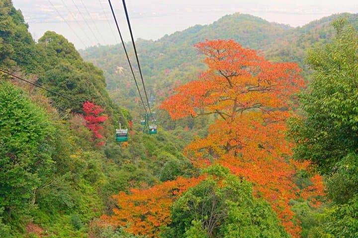 Miyajima and Mt Misen Hiking Tour from Hiroshima — photo 8