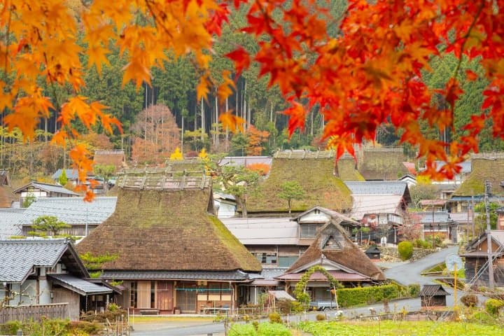 Amanohashidate Ine and Miyama Day Trip from Osaka — photo 5