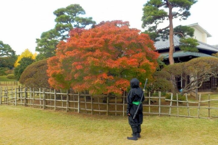 Ninja Explores Old Samurai Residences in Sakura — photo 13
