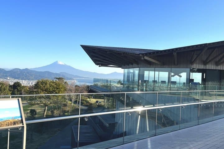 Shimizu Private Shore Excursion Mt Fuji view — photo 7