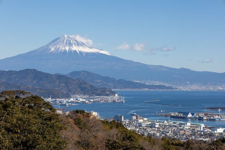 Shimizu Private Shore Excursion Mt Fuji view — photo 3