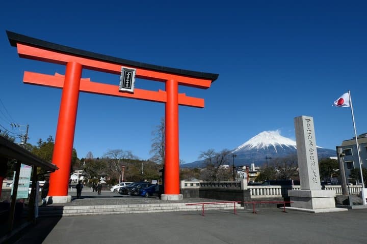 Shimizu Private Shore Excursion Mt Fuji view — photo 2