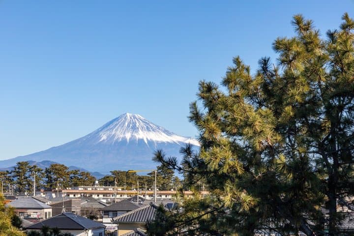 Shimizu Private Shore Excursion Mt Fuji view — photo 12