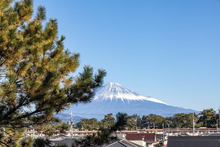 Shimizu Private Shore Excursion Mt Fuji view — photo 16