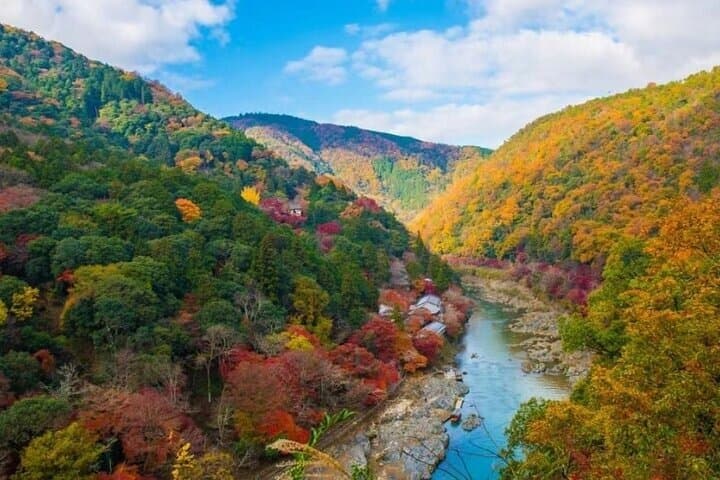 Arashiyama SanzenIn and Bamboo Forest Day Tour — photo 4