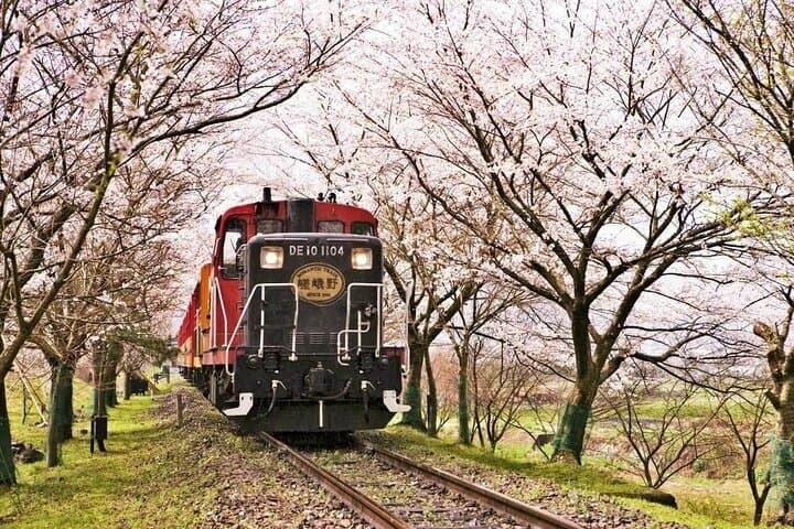 Arashiyama SanzenIn and Bamboo Forest Day Tour — photo 6