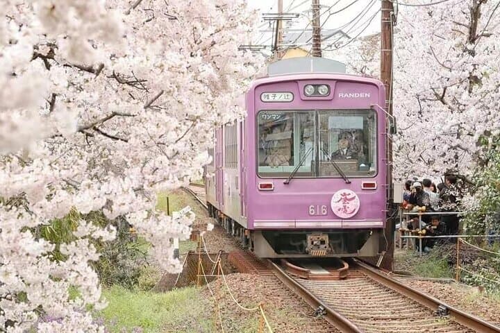 Arashiyama SanzenIn and Bamboo Forest Day Tour — photo 8
