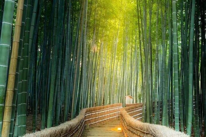Arashiyama SanzenIn and Bamboo Forest Day Tour — photo 10
