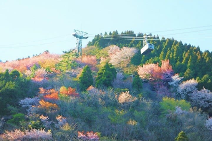 Dazaifu Tenmangu, Yufuin Onsen and Beppu Ropeway Day Tour — photo 3