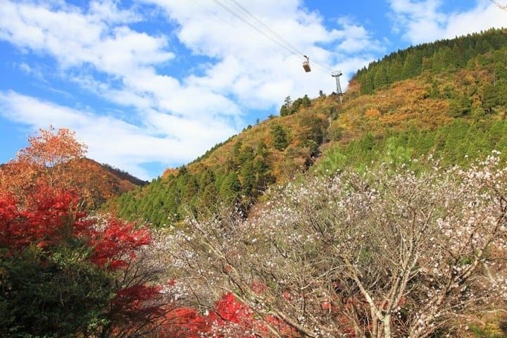 Dazaifu Tenmangu, Yufuin Onsen and Beppu Ropeway Day Tour — photo 9