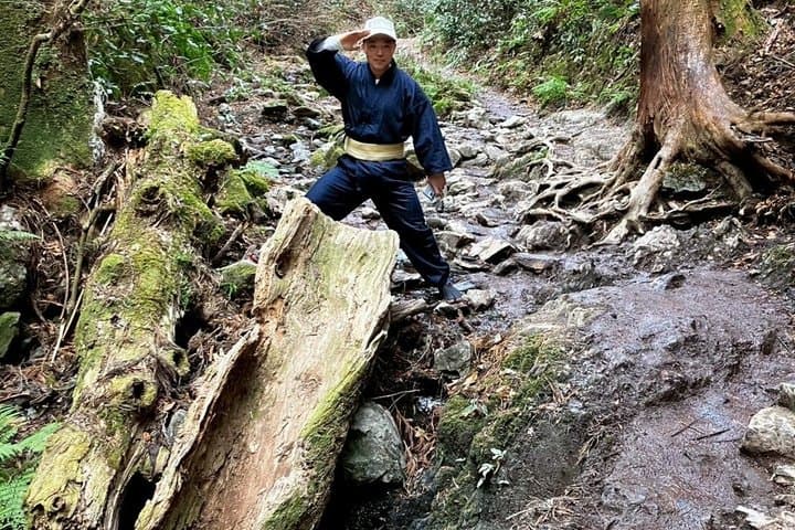 Samurai Guide Sho’s Mt. Takao Hike, Temple & Spa from Shinjuku — photo 19