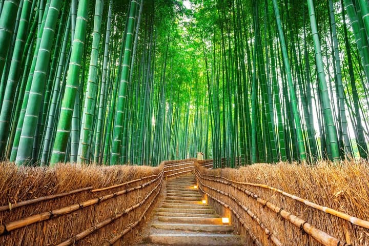 Best of Kyoto and Nara Highlights Day Tour from Osaka (7~9 spots) — photo 7