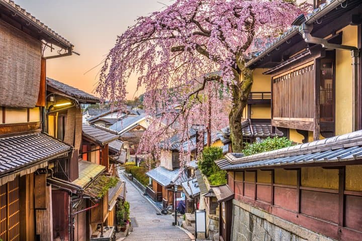 Best of Kyoto and Nara Highlights Day Tour from Osaka (7~9 spots) — photo 6