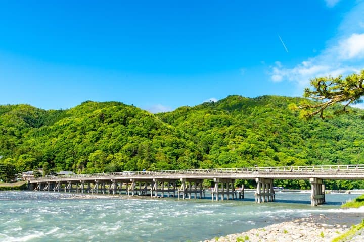 Best of Kyoto and Nara Highlights Day Tour from Osaka (7~9 spots) — photo 8