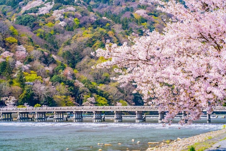 Best of Kyoto and Nara Highlights Day Tour from Osaka (7~9 spots) — photo 5
