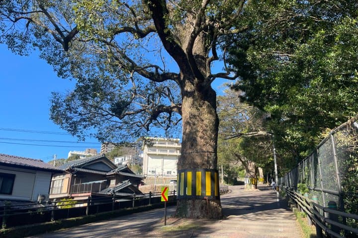 Dive into Local Life! Nagasaki Hillside Walking Tour (3 Hours) — photo 6