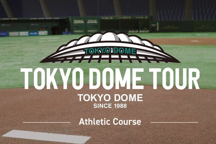 Tokyo Dome baseball history tour With a Nationally Licensed Guide — photo 2