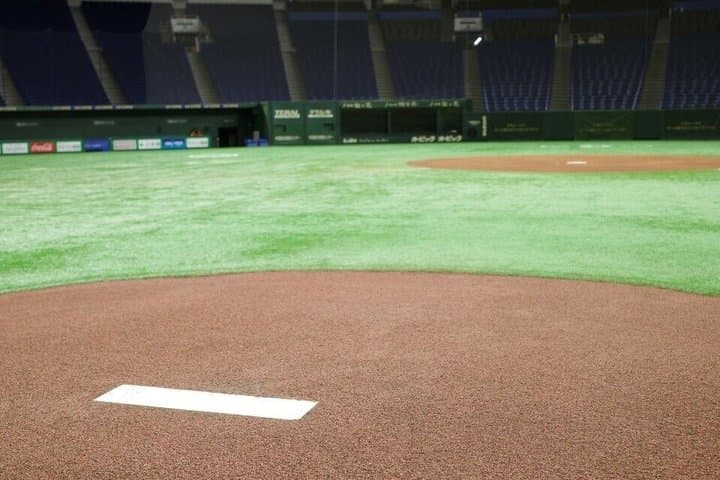 Tokyo Dome baseball history tour With a Nationally Licensed Guide — photo 3