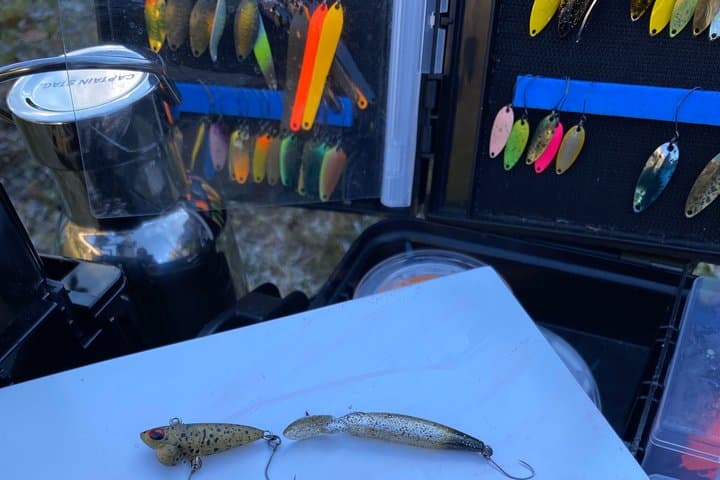 Trout Fishing Tour Near Tokyo with English-Speaking Guide — photo 7
