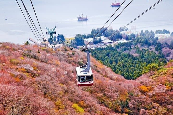 Hakone Private & Custom Day Tour with English Driver-guide — photo 5