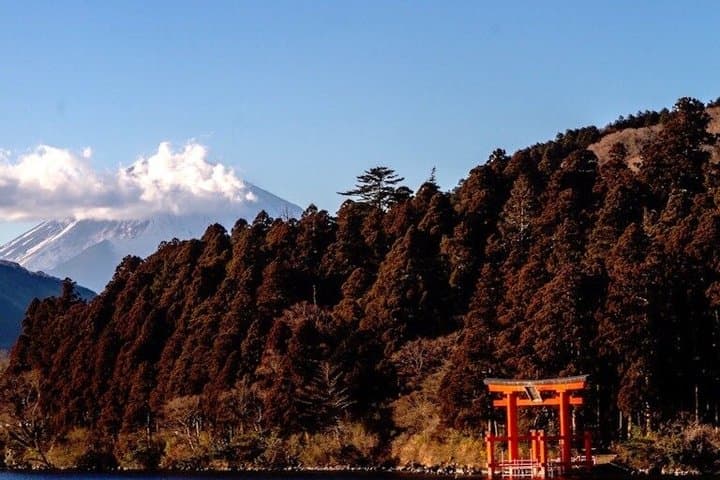 Hakone Private & Custom Day Tour with English Driver-guide — photo 9