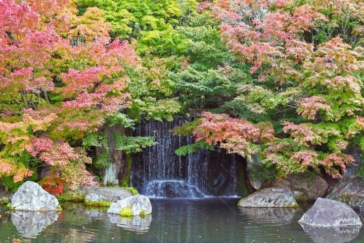 Himeji Castle and Koko-en Garden Private Day Trip from Kyoto — photo 4