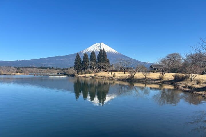 Lake Tanuki & Traditional Sake Brewery -Guided Van Tour — photo 5