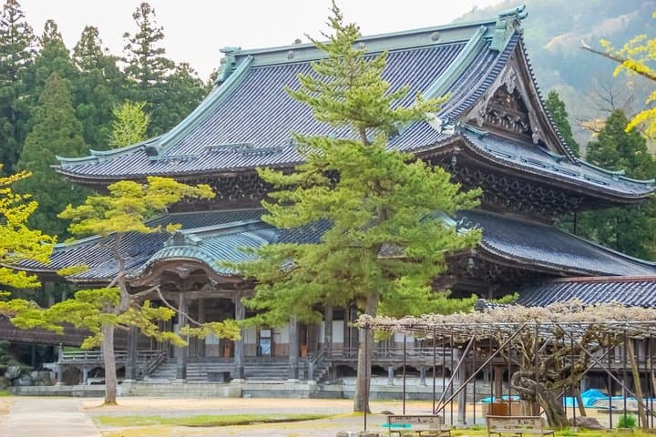Kamakura Heritage and Nature Hiking Experience — photo 6