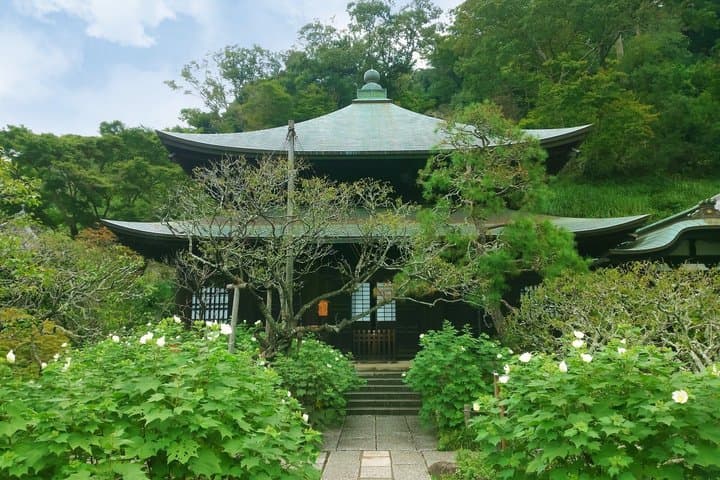 Kamakura Heritage and Nature Hiking Experience — photo 7