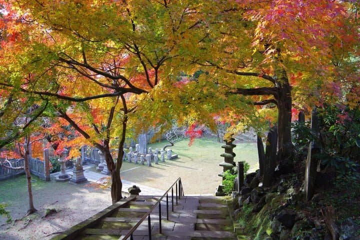 Kamakura Heritage and Nature Hiking Experience — photo 9