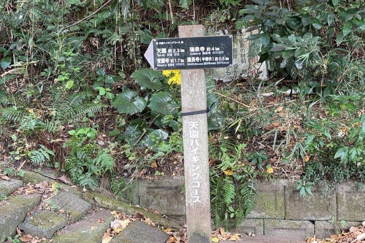 Kamakura Heritage and Nature Hiking Experience — photo 11