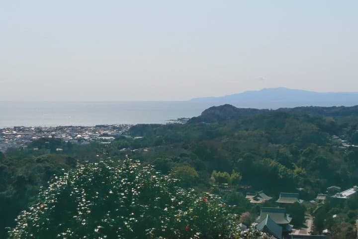 Kamakura Heritage and Nature Hiking Experience — photo 12