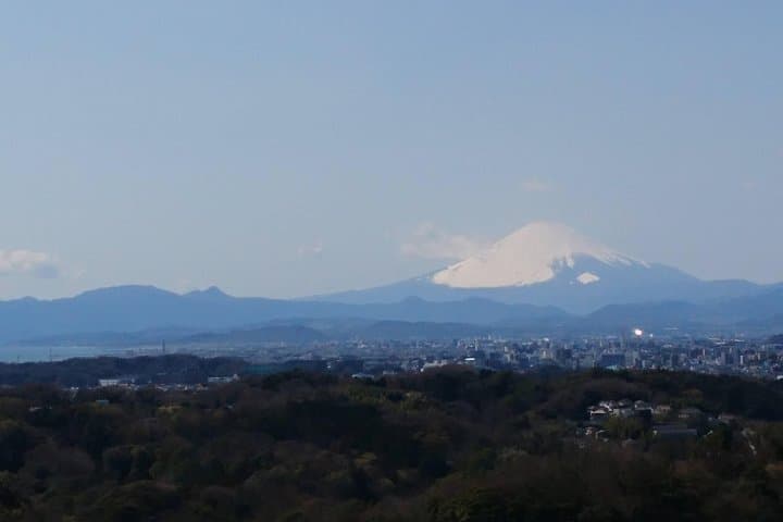 Kamakura Heritage and Nature Hiking Experience — photo 13