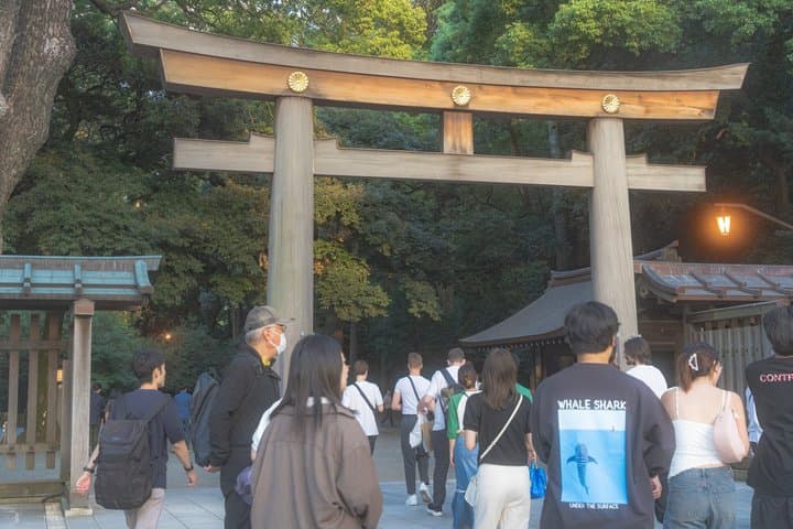 Tokyo: Private customized tour with a local guide — photo 14