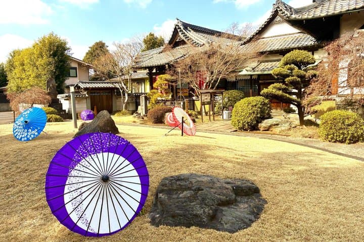 Tokyo Shinjuku Giant 3D, Cat Cafe & Yanaka Cat Town for Cat Lover — photo 10